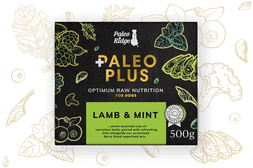 Paleo Plus Lamb & Mint 500g