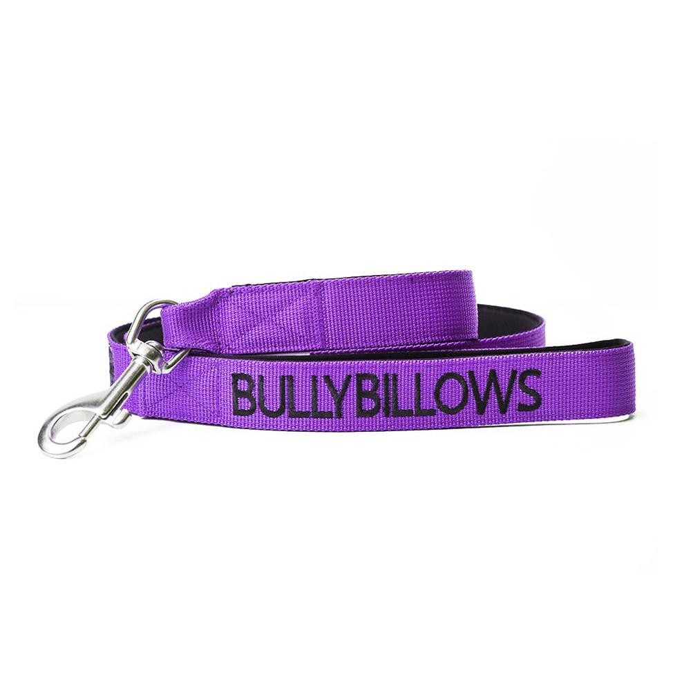Bully Billows Nylon Snap Hook Lead