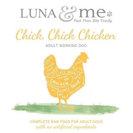 Chick, Chick Chicken Adult Working dog