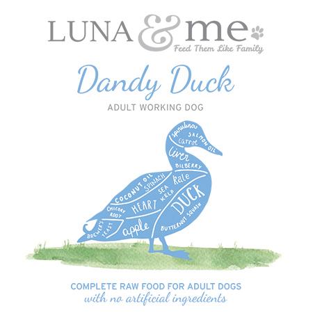 Dandy Duck Adult Working dog