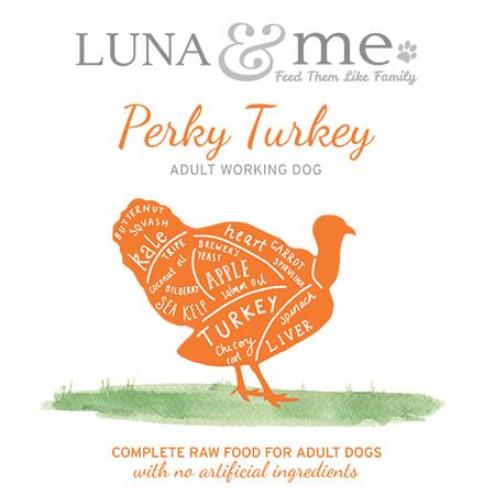 Perky Turkey Adult Working dog