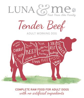 Tender Beef Adult Working 600g