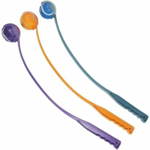 Good Boy Fetch Dog Toy The Natural Vet