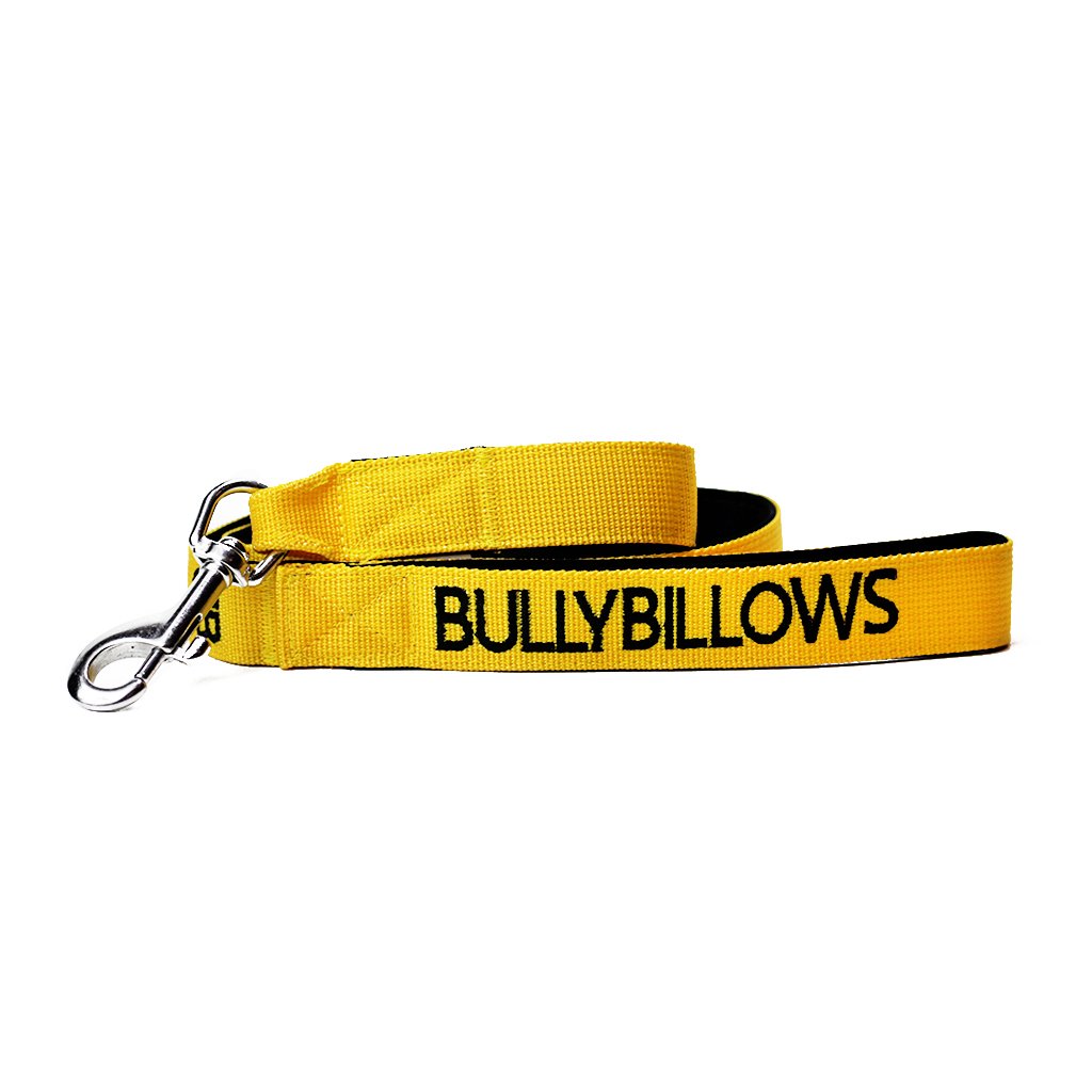 Bully Billows Nylon Snap Hook Lead